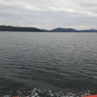 오영도님의 자유주제 · 자유게시판 작성글 사진