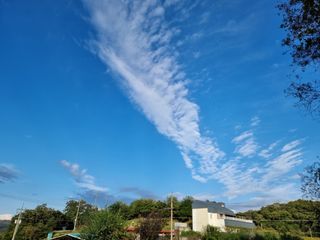 권병☆님의 자유주제 · 자유게시판 작성글 사진