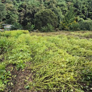 박흠님의 자유주제 · 칭찬해요 작성글 사진