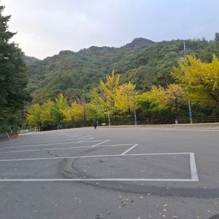 오영도님의 자유주제 · 자유게시판 작성글 사진