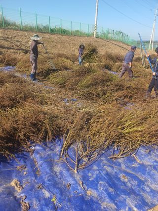 옥천서화농님의 자유주제 · 자유게시판 작성글 사진