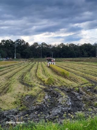 이천산수유3대농부님의 자유주제 · 자유게시판 작성글 사진