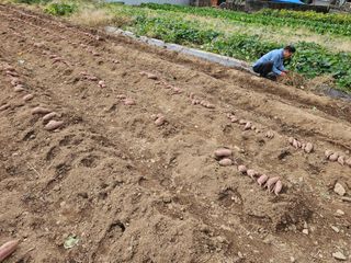 조순귀창원성산구사파님의 자유주제 · 자유게시판 작성글 사진