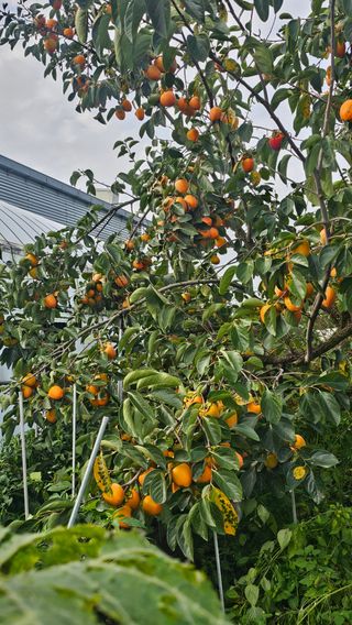 강병천님의 자유주제 · 자유게시판 작성글 사진