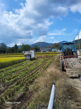 이천산수유3대농부님의 자유주제 · 자유게시판 작성글 사진
