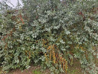 구성휘님의 자유주제 · 자유게시판 작성글 사진