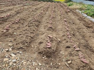 조순귀창원성산구사파님의 자유주제 · 자유게시판 작성글 사진