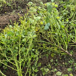 박흠님의 자유주제 · 칭찬해요 작성글 사진