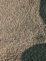 팜모닝 · 게시글 이미지