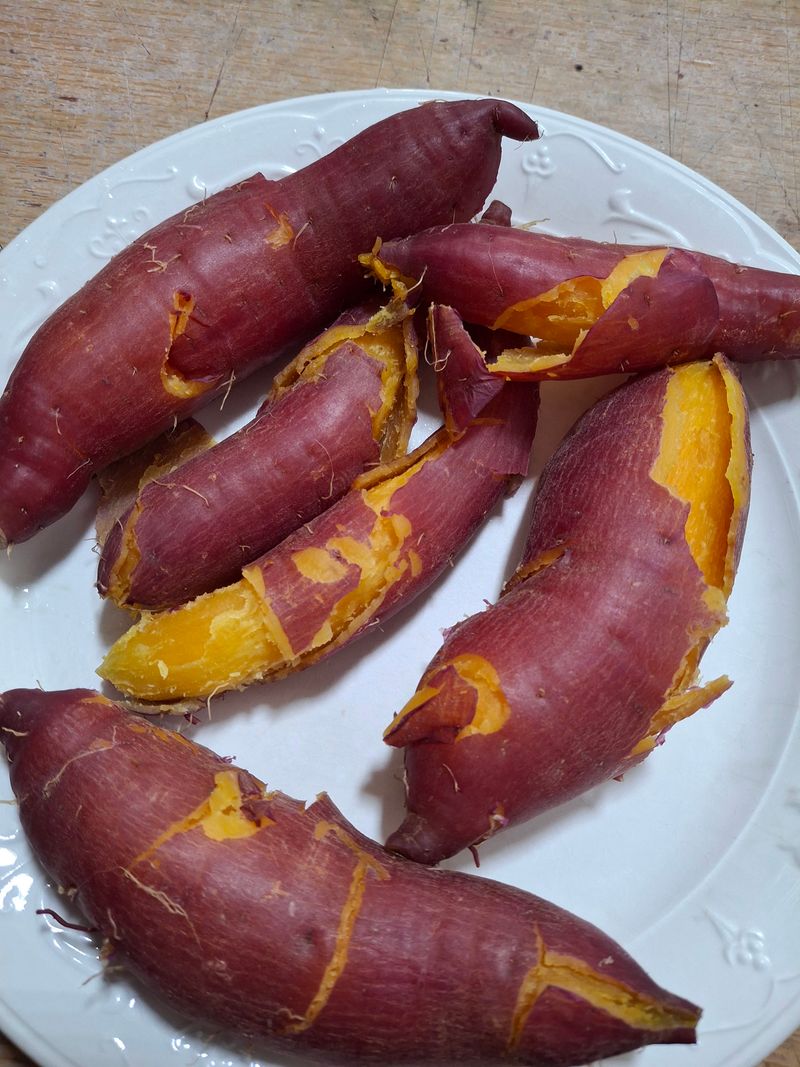 정재희님의 장터 판매 상품 [당진(호풍미)호박고구마 10키로] 첨부 사진