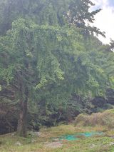 팜모닝 · 게시글 이미지