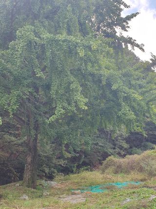 장희정 님의 작성글 사진