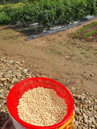 장희정 님의 작성글 사진