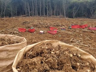 이호성님의 자유주제 · 자유게시판 작성글 사진