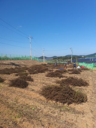 옥천서화농님의 자유주제 · 자유게시판 작성글 사진