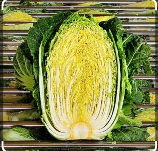 하하하님의 자유주제 · 자유게시판 작성글 사진