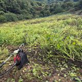 팜모닝 자유주제·칭찬해요 게시글 이미지