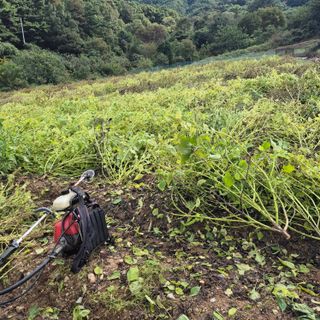 박흠님의 자유주제 · 칭찬해요 작성글 사진