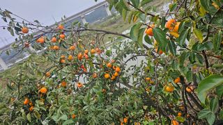 강병천님의 자유주제 · 자유게시판 작성글 사진