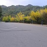 팜모닝 자유주제·자유게시판 게시글 이미지