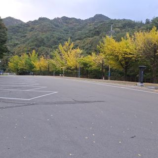 오영도님의 자유주제 · 자유게시판 작성글 사진