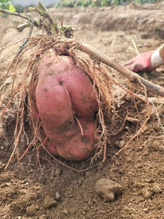 조순귀창원성산구사파님의 자유주제 · 자유게시판 작성글 사진