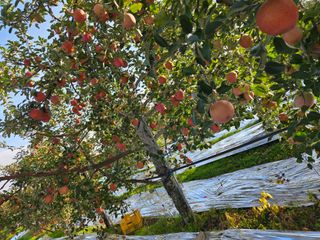 최승국님의 자유주제 · 자유게시판 작성글 사진