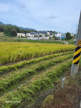 이천산수유3대농부님의 자유주제 · 자유게시판 작성글 사진