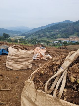 이호성님의 자유주제 · 자유게시판 작성글 사진