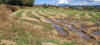 이복길님의 자유주제 · 자유게시판 작성글 사진