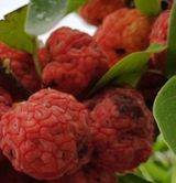 팜모닝 · 게시글 이미지