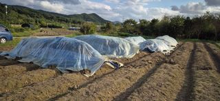 최용운님의 자유주제 · 자유게시판 작성글 사진