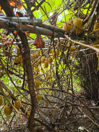 장지영님의 자유주제 · 자유게시판 작성글 사진