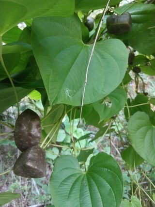 이장우님의 자유주제 · 자유게시판 작성글 사진