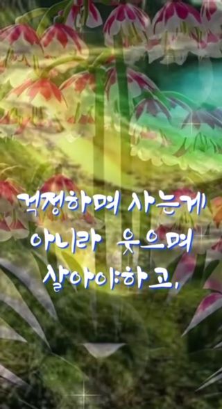 인생은 소풍처럼님의 자유주제 · 자유게시판 작성글 사진