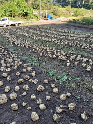 유석범님의 작성글 사진