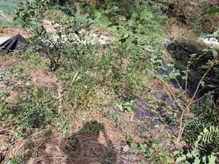 시금치6781님의 자유주제 · 자유게시판 작성글 사진