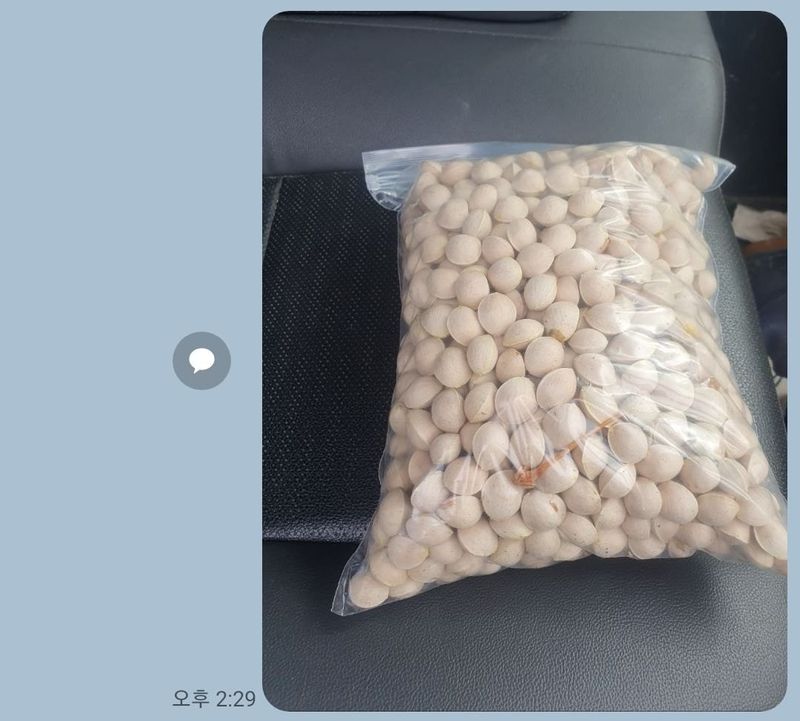 강릉농업귀신님의 장터 판매 상품 [은행] 첨부 사진