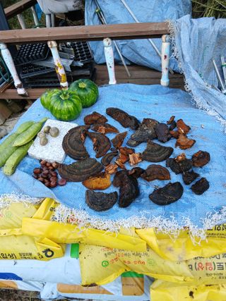 김영숙님의 자유주제 · 자유게시판 작성글 사진