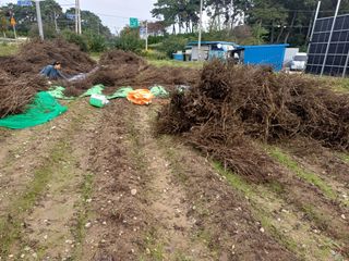 홍순오님의 자유주제 · 자유게시판 작성글 사진