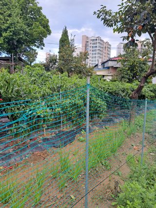 김명옥님의 작성글 사진