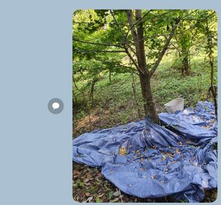 강릉농업귀신님의 작성글 사진