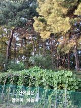 팜모닝 자유주제·자유게시판 게시글 이미지