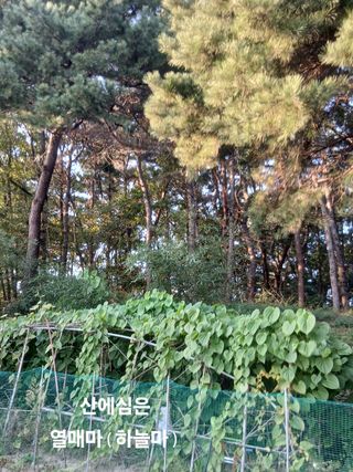 이장우님의 자유주제 · 자유게시판 작성글 사진