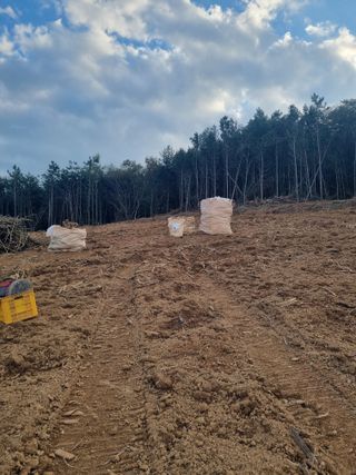 이호성님의 자유주제 · 자유게시판 작성글 사진