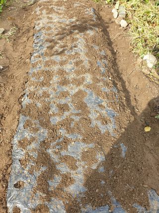 서봉열님의 자유주제 · 자유게시판 작성글 사진