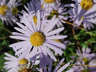 안길원님의 자유주제 · 자유게시판 작성글 사진