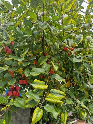 전홍열님의 자유주제 · 자유게시판 작성글 사진