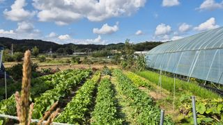 임붕철님의 자유주제 · 자유게시판 작성글 사진