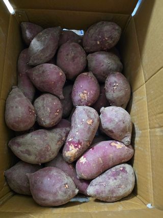 운길산님의 자유주제 · 건의해요 작성글 사진